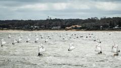 REGATA-AUBO-BALLENEROS-142-28